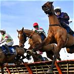 what is a super heinz bet in horse racing